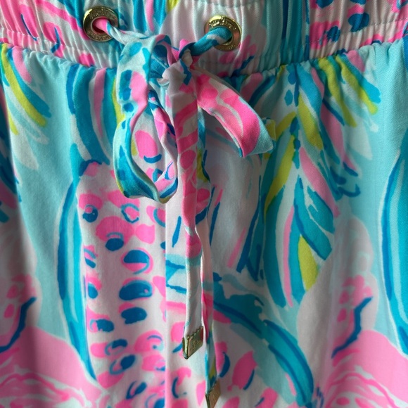 Lilly Pulitzer Pink and Blue Shorts - Picture 6 of 9